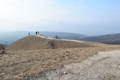 3 pazar téli minitúra a Budai-hegységben: gyönyörű tájakon haladnak, csodás kilátást nyújtanak