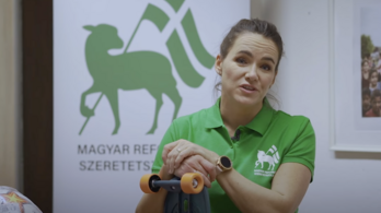 Novák Katalin a segítségnyújtás fontosságára hívta fel a figyelmet az önkéntesség világnapján