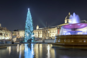 Az ideitől leesik az állad: a norvégok ajándéka a leghíresebb londoni karácsonyfa