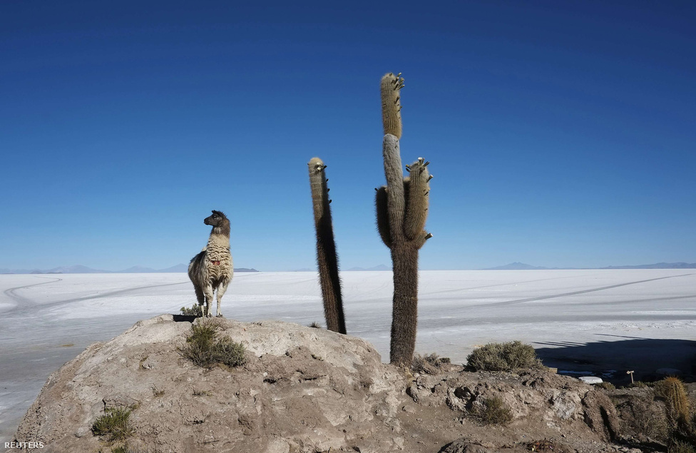 A háromszög bolíviai területe a Salar de Uyuni, a világ legnagyobb kiterjedésű és egyben legmagasabban fekvő felszíni sómezője. 