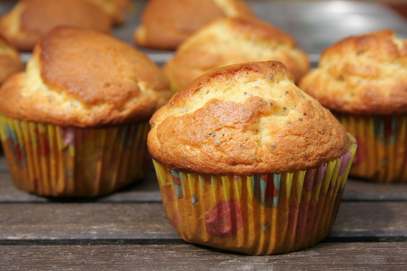 Ünnepi mákos muffin: kényelmes választás, ha nem akarsz sok időt tölteni a konyhában