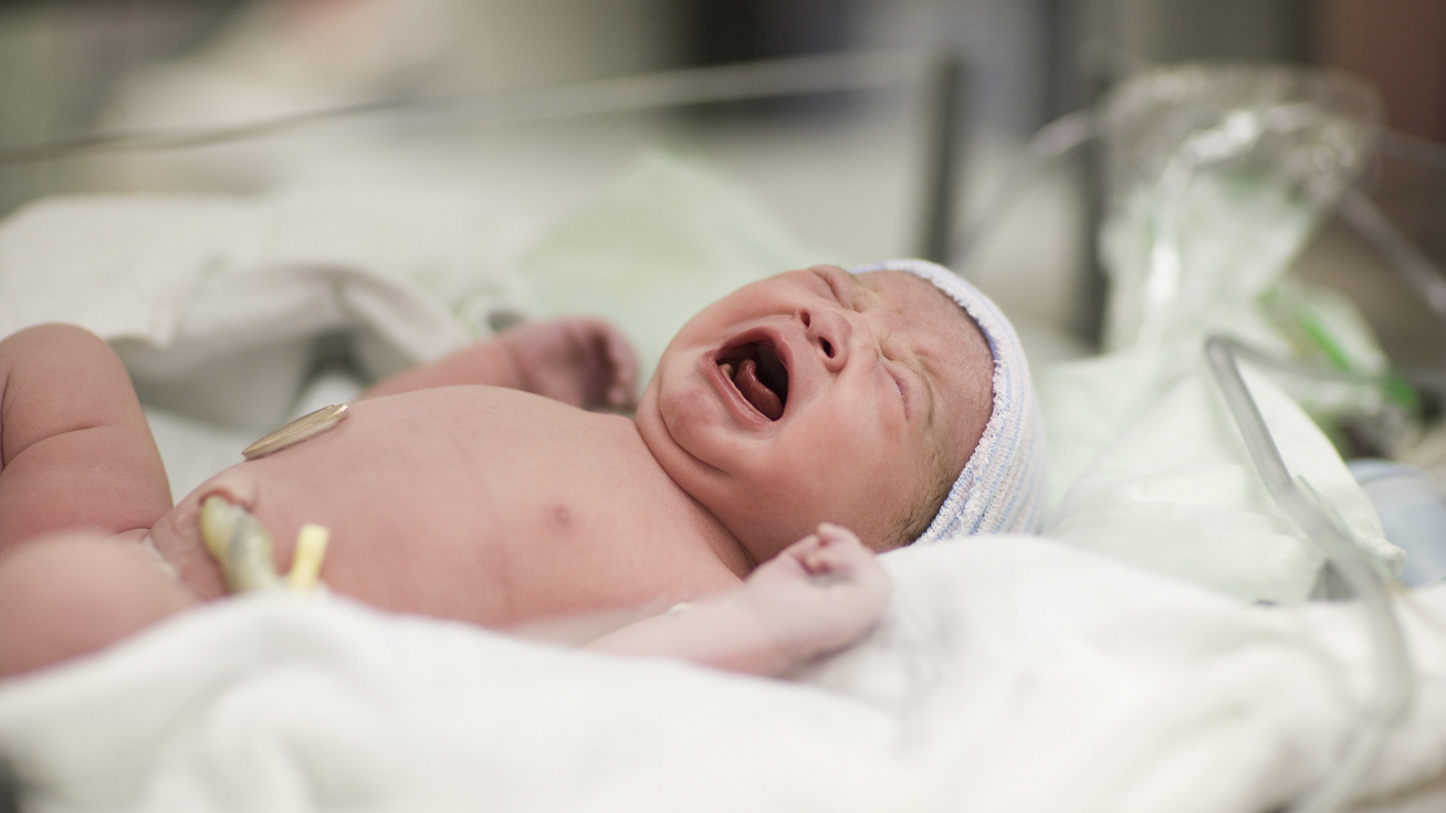 Csodálatos, mi játszódik le az újszülöttek testében az első levegővételénél: pillanat alatt átalakul a tüdő működése is