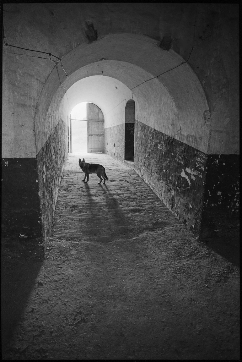 Búcsúzó kutya, Monostori Erőd, Komárom 1991
                        