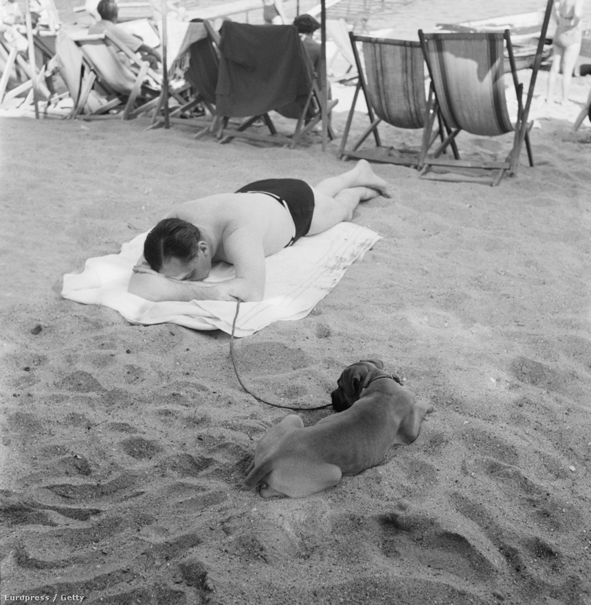 Napfürdőző férfi és kutyája az olasz Paraggi Beach-en (1952).