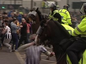 Önvédelemből támadt a rendőrlóra az állatbarát Newcastle-huligán