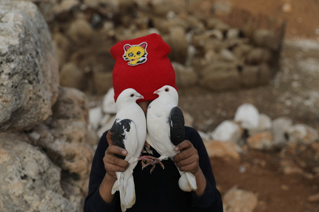Khalid Abu Khalifa (9) két galambot tart kezében, háttérben otthona.