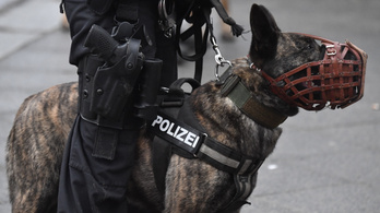 ﻿Az új állatvédelmi törvény miatt leszerelik a német rendőrkutyákat