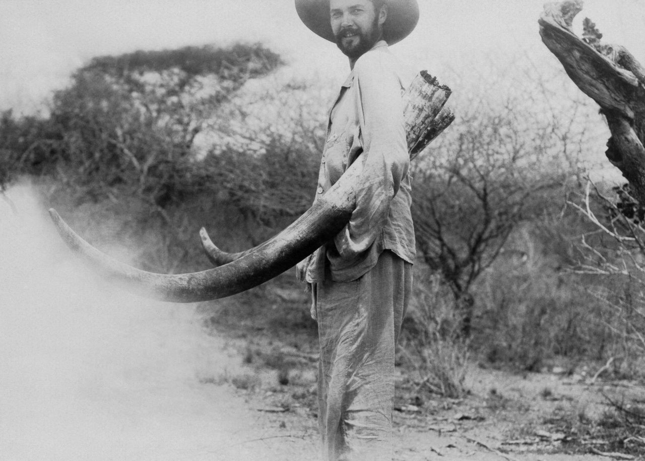 Károlyi gróf elejtett elefántjának agyaraival. Kenya. 1929. március 18.