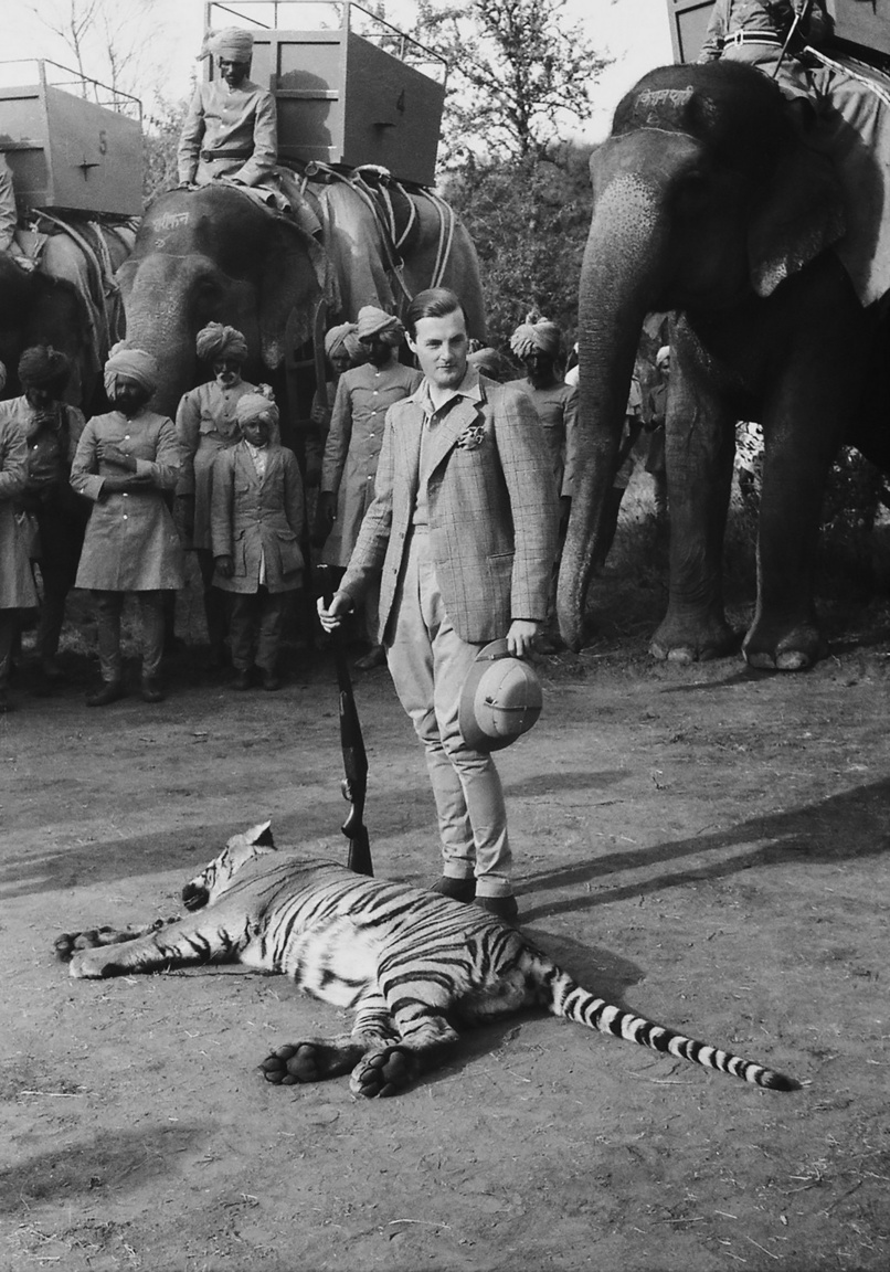 Lord Jersey első tigrisével. India, Jaipur, Madharpur. 1938. január 11. 