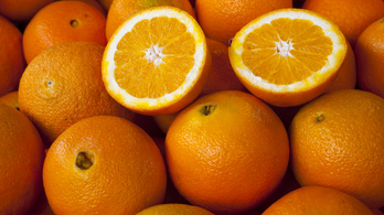 Nagyon rosszak a narancsok kilátásai, ötvenszázalékos drágulás jöhet