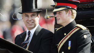 Harry herceg és András herceg lemaradnak egy fontos elismerésről