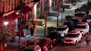 Lelőttek egy rendőrt Harlemben, egy másik kritikus állapotban van