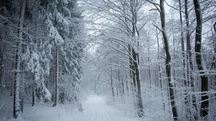 Sopron környékén 20 centiméteres hó esett