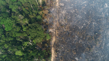 Ég az Amazonas: környezetvédelmi riasztást rendelt el Kolumbia
