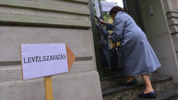 Adománygyűjtés indult, hogy az angliai magyarok is eljussanak szavazni