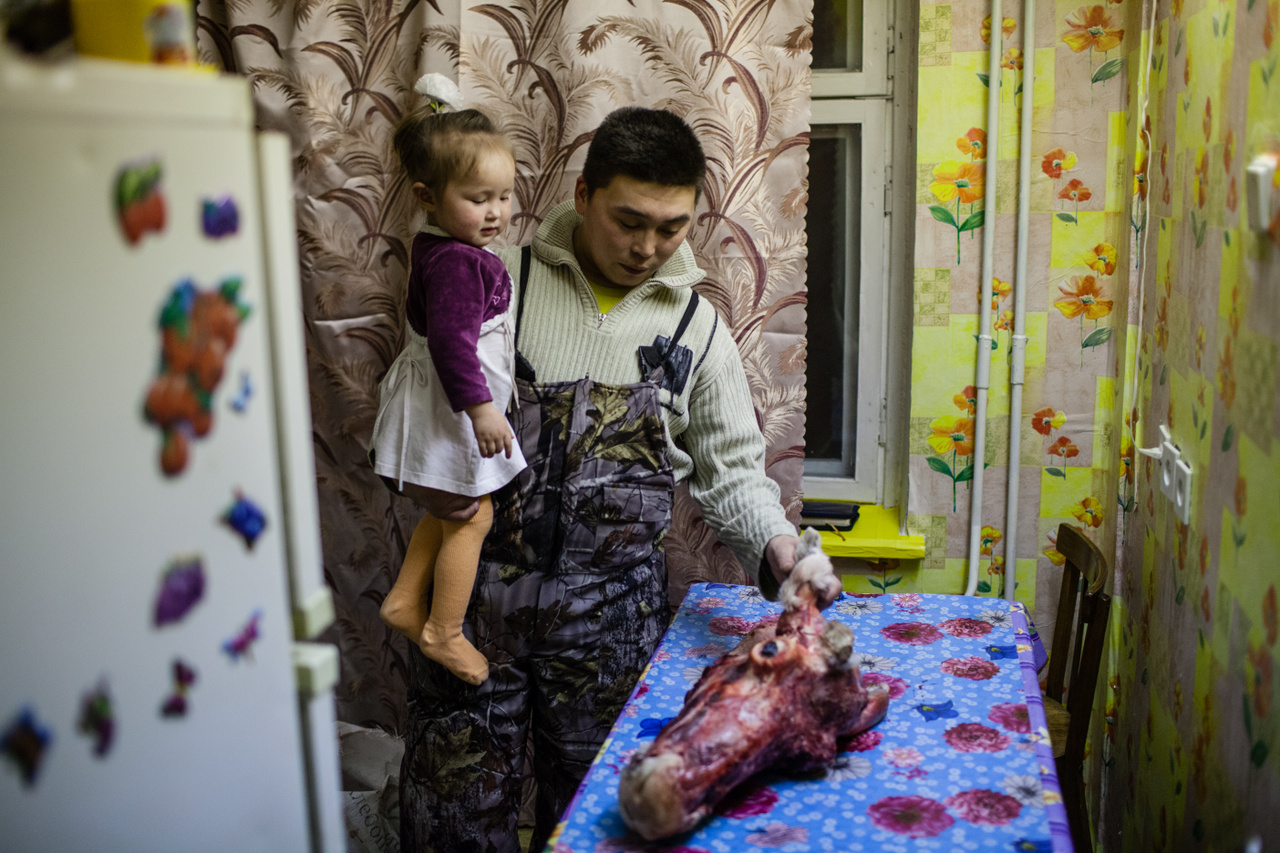 A késő őszi rénszarvascsordákat a tundrából Vorkutába hajtják, hogy levágják őket a helyi mészárszékeken. A rénszarvas húsa különleges csemegének számít Vorkutában. 
                        