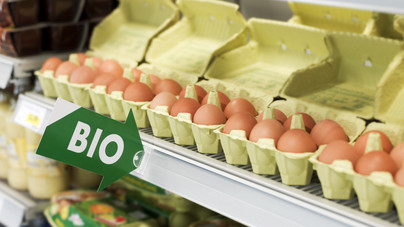 Mitől lesz bio a tojás? Megéri többet költeni a mélyalmosra?