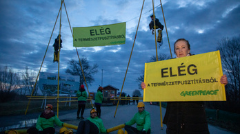 Udvaros Dorottya Greenpeace-aktivistákkal tiltakozik a Fertő tónál