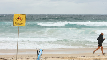 Hatvan év után újra halálos cápatámadás volt Sydneyben, több strandot lezártak