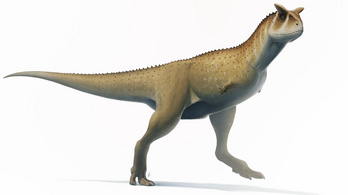 Új dinoszauruszfajt fedeztek fel Argentínában, csak karja nincs