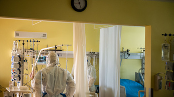 Szlovákia: csaknem 2700 fertőzött szorul kórházi kezelésre