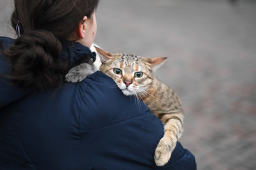 Egy nő macskájával a kijevi pályaudvar közelében 2022. február 24-én
