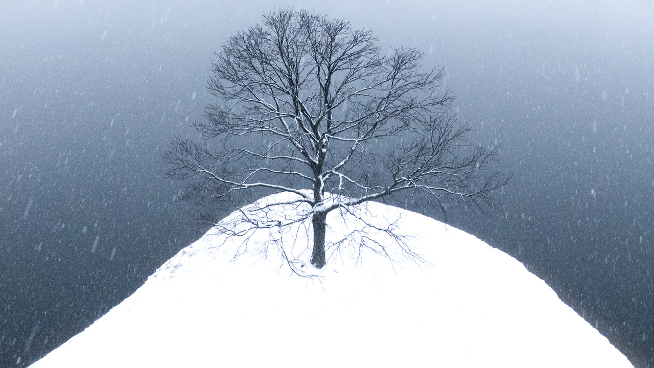 Egy decemberi havazás alkalmával Pécs közelében készült fotóm.