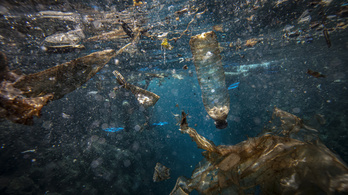 Azonnal változtatni kell, vagy annyi műanyag lesz az óceánokban, mint hal