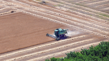 Még ma betiltják a gabonakivitelt Magyarországról