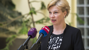 Fegyvereket kér Magyarországtól az ukrán nagykövet