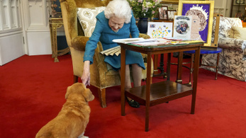 Nincs elég jól II. Erzsébet királynő, fél éve nem sétáltatta a kutyáit