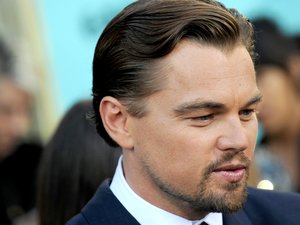 Aukción gyűjt a környezetvédelemre Leonardo DiCaprio