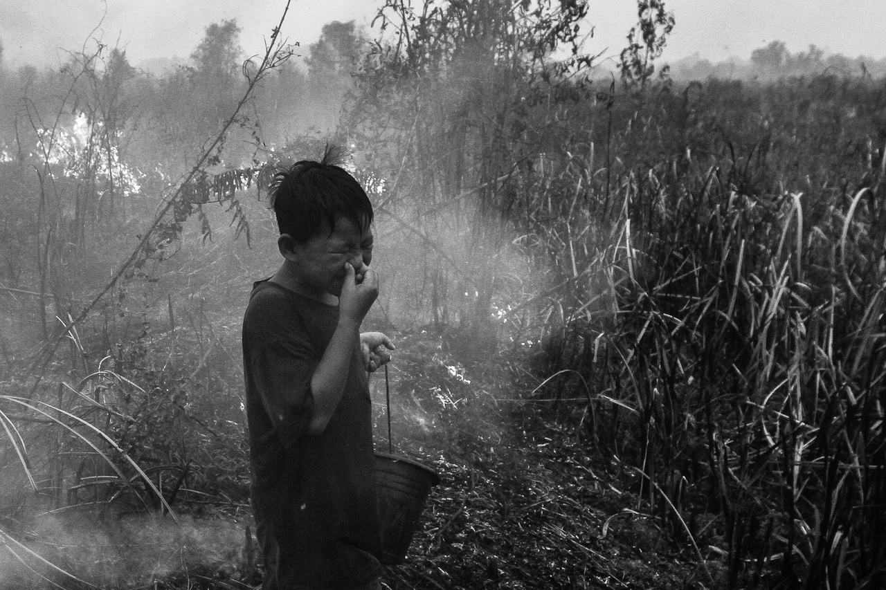 Füst (Hosszú távú projekt - Délkelet-Ázsia és Óceánia): 2015 szeptemberében készült a kép Szumátra déli részén, ahol a lángra kapott tőzeg maró füstje bántja az indonéz kisfiút.
                        