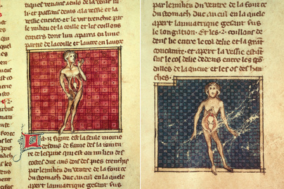 Sebészeti könyvet írt a középkori orvos: Henri de Mondeville illusztrációi meglepően részletesek