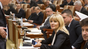 Börtönbe kell vonulnia a volt román turisztikai miniszternek