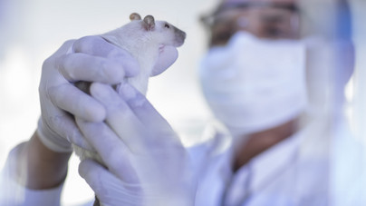Van-e jogunk állatokat ölni a tudomány nevében? Az állatkísérletek ellentmondásos világa