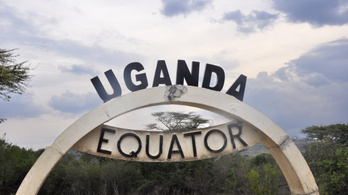 Halálra taposott egy kutatót egy ugandai elefánt