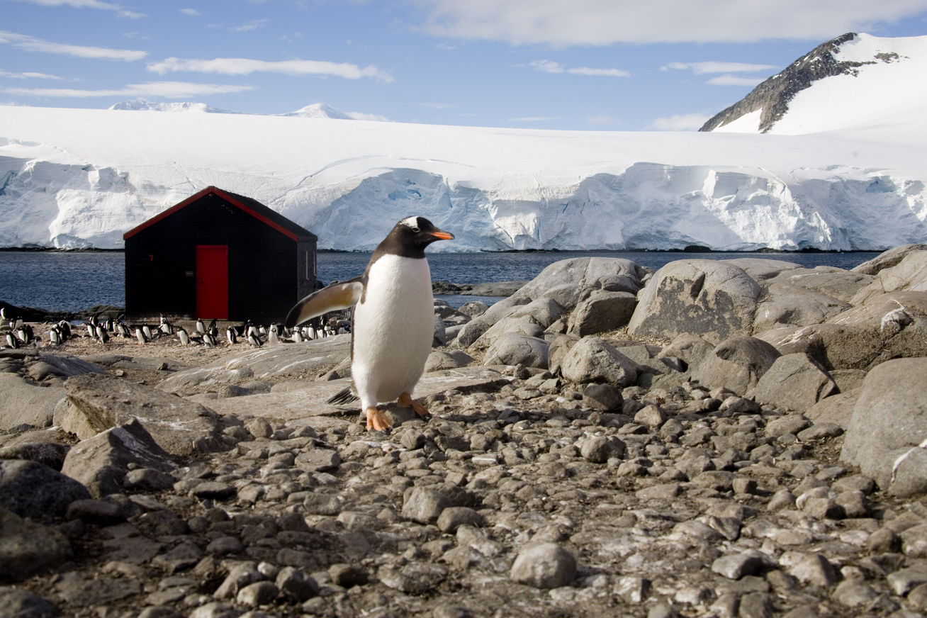 antarktisz-postás2