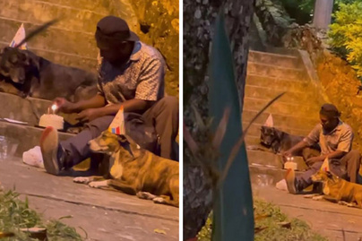 Szülinapi bulit tartott kutyáinak a hajléktalan férfi: megható fordulatot vett az életük