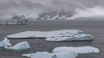 Még sosem volt ilyen kicsi a jég az Antarktisznál