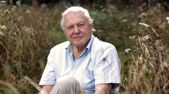 David Attenborough is a Föld bajnoka lett Gorbacsov után