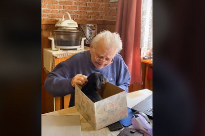Tündéri magyar videó terjed az interneten: így örült az idős bácsi a kiskutyának