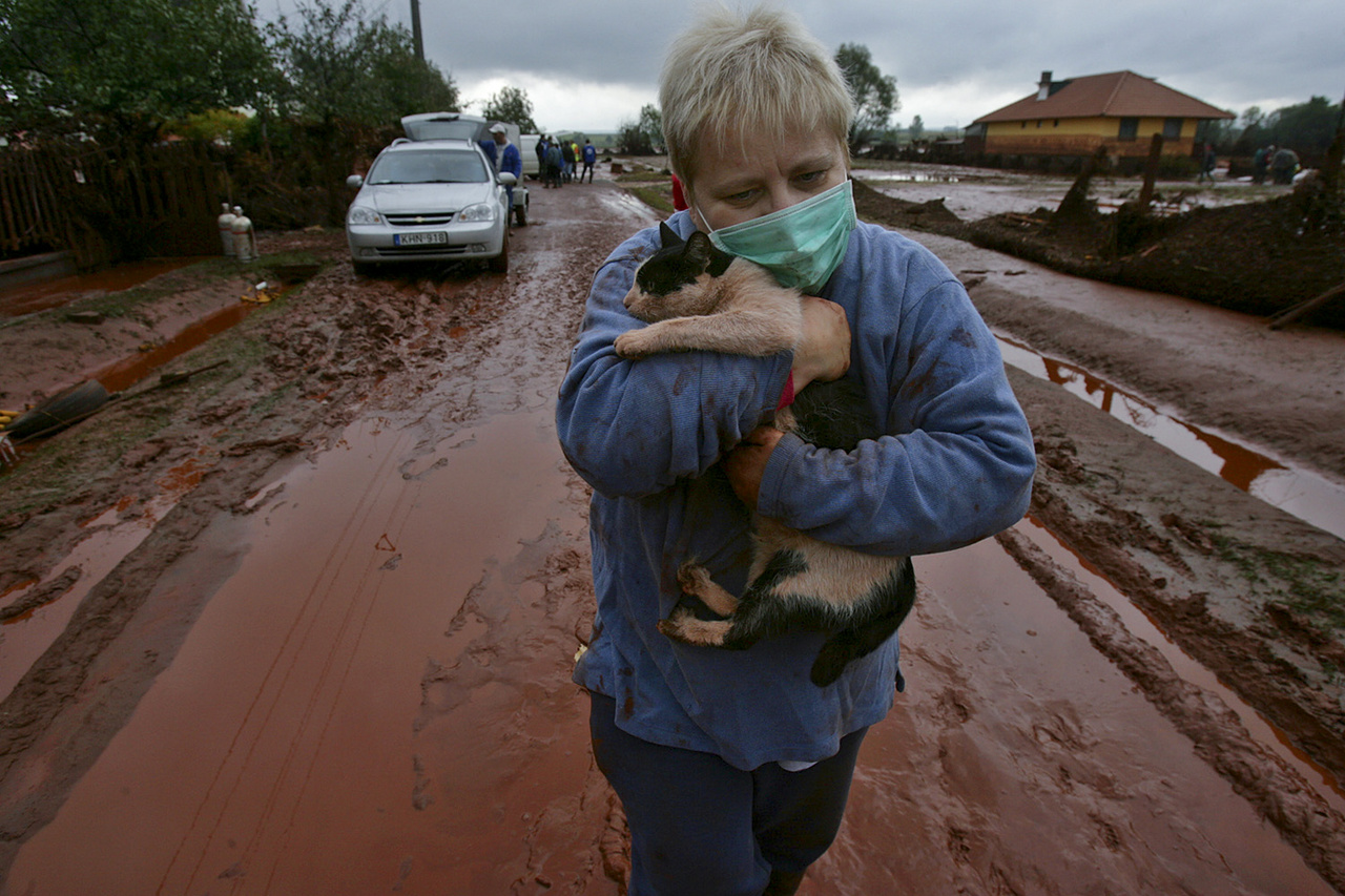 2010Túlélők
                        Macska és gazdája a vörösiszap-katasztrófa
                        sújtotta Kolontáron.