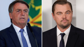 A brazil elnök lehülyézte Leonardo DiCapriót