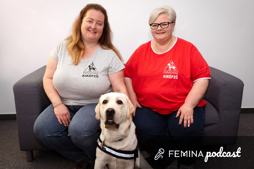 „Ne nyúljanak a dolgozó vakvezető kutyához, amikor hám van rajta” - Kutyakiképző szakemberek a Femina podcastjában