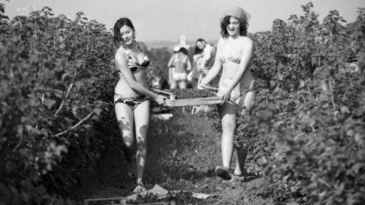 A lányok vonzóbbak voltak, mint a talicskázás – Építőtáborok a szocializmusban