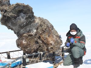 Mamutot találtak Szibériában