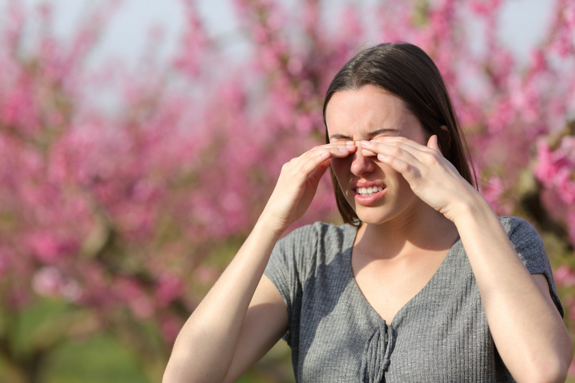 Milyen növények okozhatják most az allergiás panaszokat? A nyárfaszösz látványos, de ártalmatlan