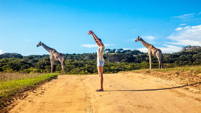 A nyakuk hosszú, az életük rövid: miért élnek tovább az emberek, mint a zsiráfok?