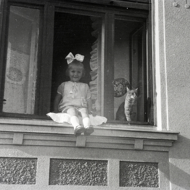 Zseniális képek macska és ember utánozhatatlan viszonyáról - Különleges régi fotók az elmúlt száz évből